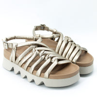 Patrizia Bonfanti Shell Gold