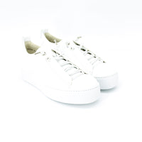 Paul Green 5017 White