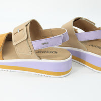 Igi & Co 5685433 Multi