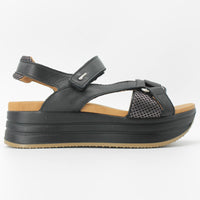 Igi & Co 5678800 Black