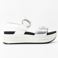 Igi & Co 5679111 White and Silver