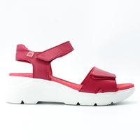 Pepe Menargues 10864 Pink