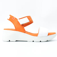 Pepe Menargues 10863 White & Orange