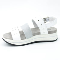 Igi & Co 3677011 Silver