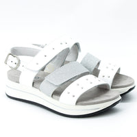 Igi & Co 3677011 Silver