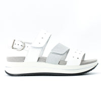 Igi & Co 3677011 Silver