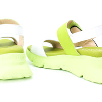 Hispanitas 243393 Green Multi