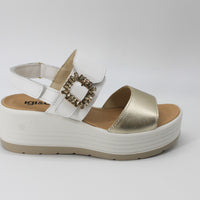 Igi & Co 7667322 Gold