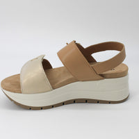 Igi & Co 7677644 Gold