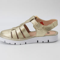 Jose Saenz 2258 Gold