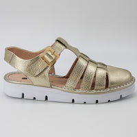 Jose Saenz 2258 Gold