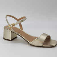 Unisa Kirk 25 Gold