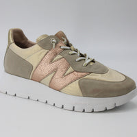 Wonders 2464 Sand and Beige