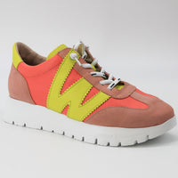 Wonders 2476 Pink and Coral