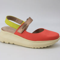 Wonders 4004 Coral Multi