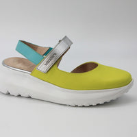 Wonders 4004 Lime Multi