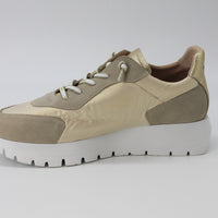 Wonders 2464 Sand and Beige