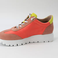 Wonders 2476 Pink and Coral