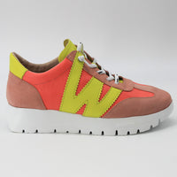 Wonders 2476 Pink and Coral