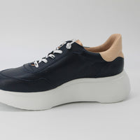 Wonders 3625 Navy and Rose Gold