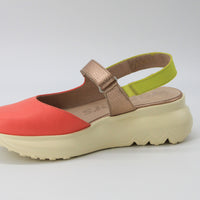 Wonders 4004 Coral Multi