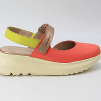 Wonders 4004 Coral Multi