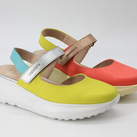 Wonders 4004 Coral Multi