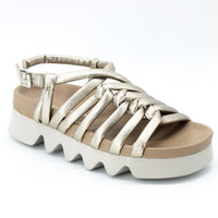 Patrizia Bonfanti Shell Gold