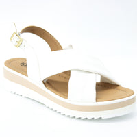 Igi & Co 3686011 White
