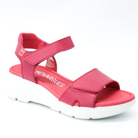 Pepe Menargues 10864 Pink