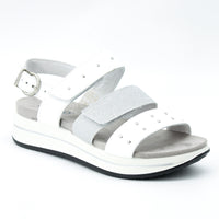 Igi & Co 3677011 Silver