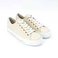 Paul Green 4704 Biscuit