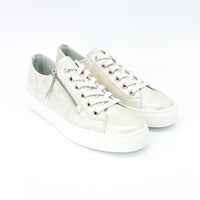 Paul Green 5206 Silver