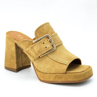 Alpe 2567 Camel