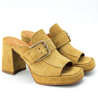 Alpe 2567 Camel