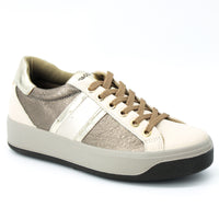 Igi & C 4669011 Bronze Multi