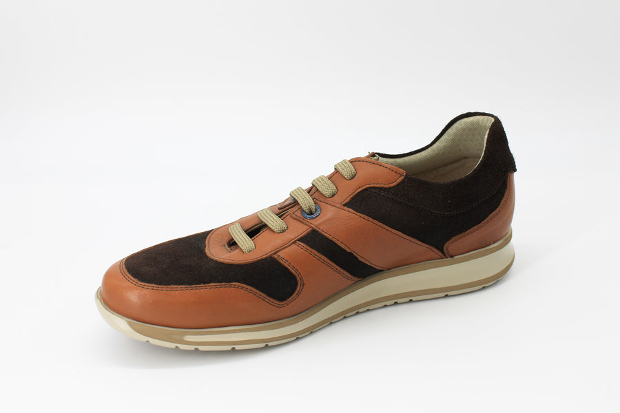 Callaghan 88417 Tan & Brown