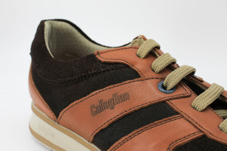 Callaghan 88417 Tan & Brown