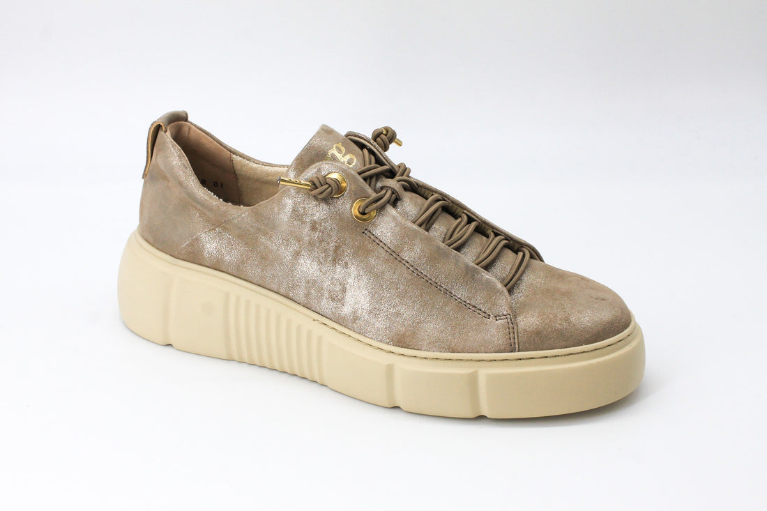 Paul Green 5418 Glossy Champagne