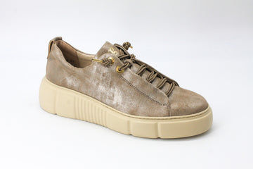 Paul Green 5418 Glossy Champagne