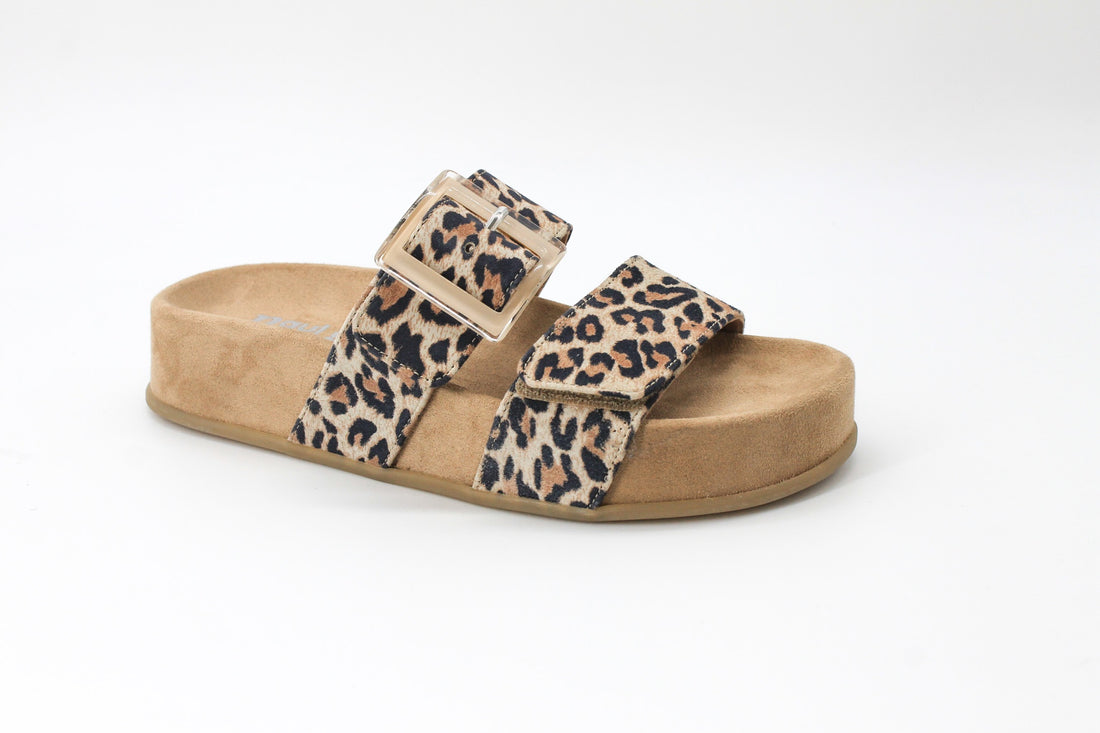 Paul Green 6157 Leopard
