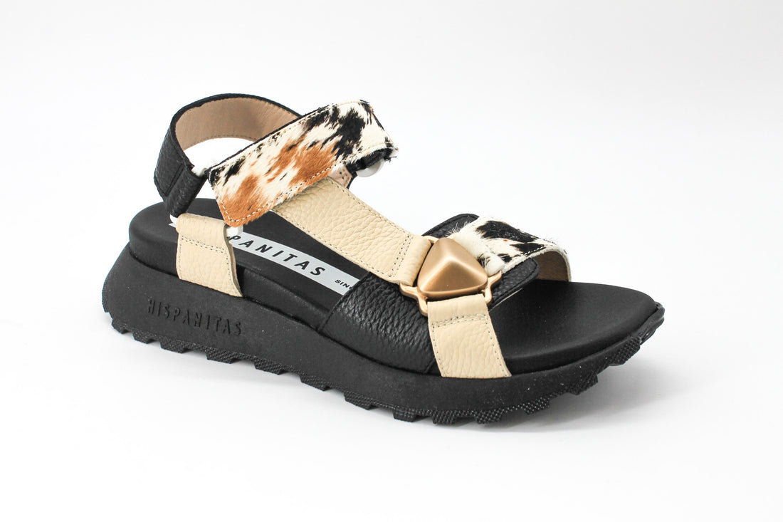 Hispanitas 264807 Black Pony