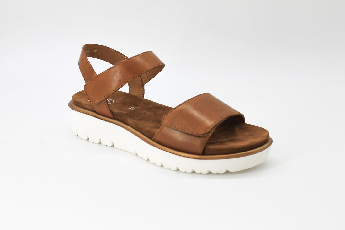 Ara 33518 Cognac