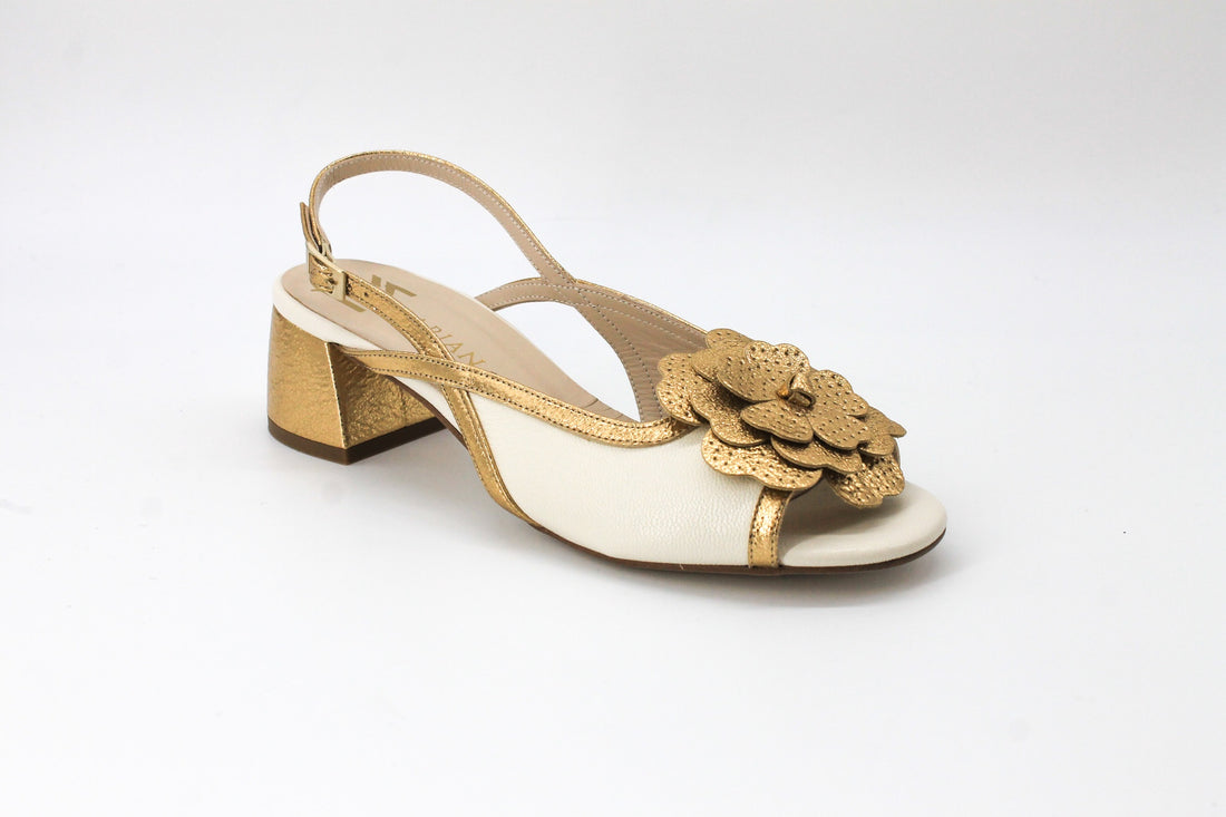Marian 60210 Cream and Gold