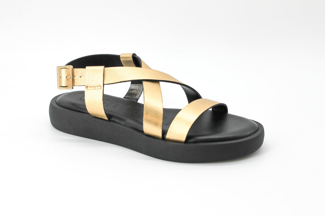 Wonders 1402 Gold