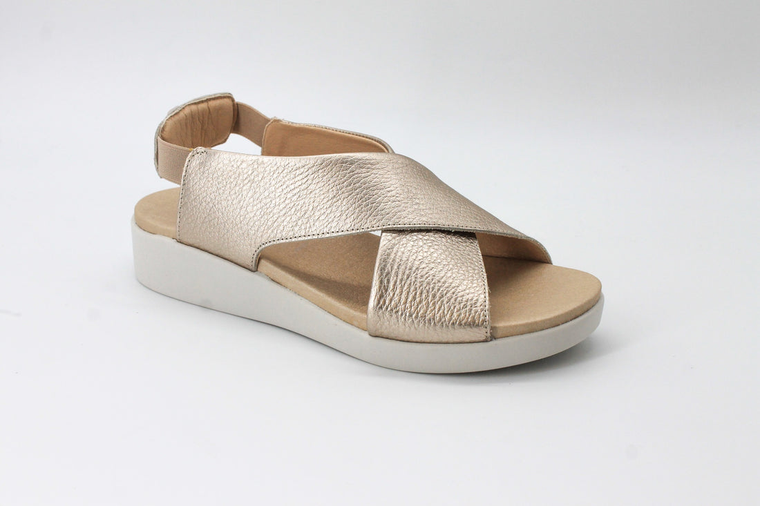Pepe Saenz 10535 Gold