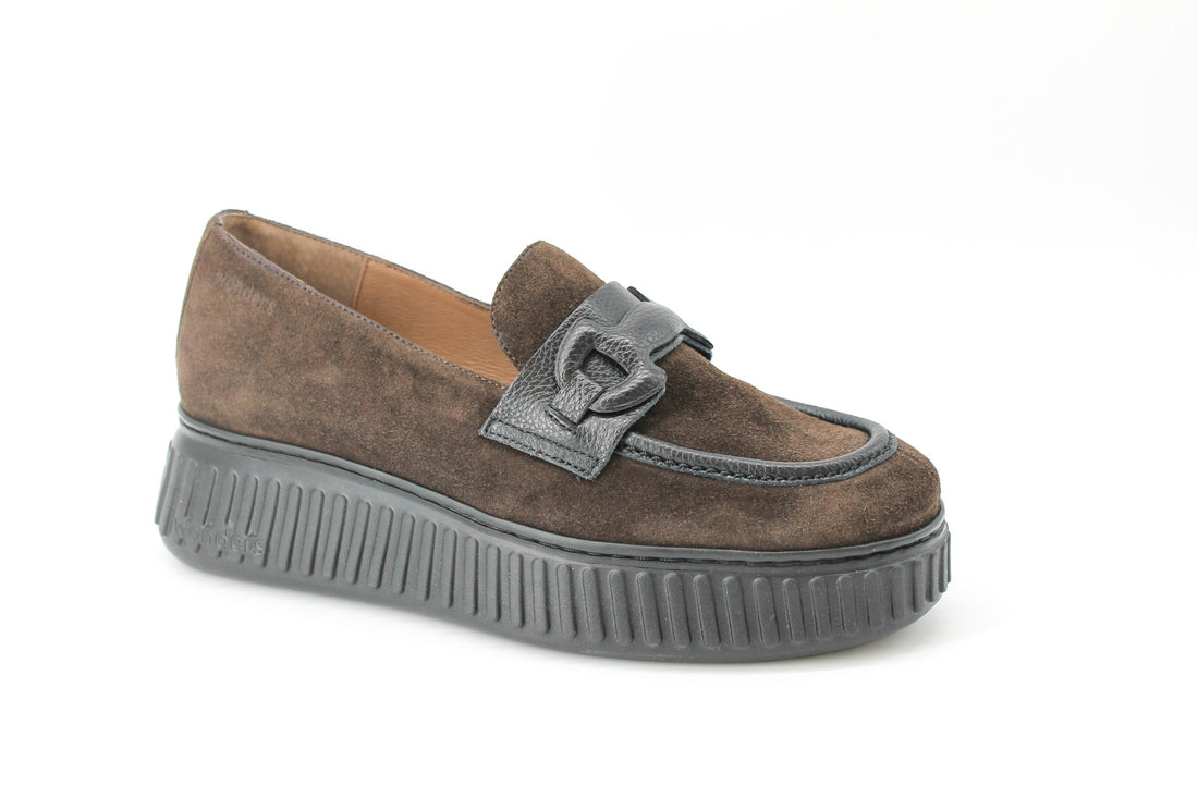 Wonders 5203 Brown