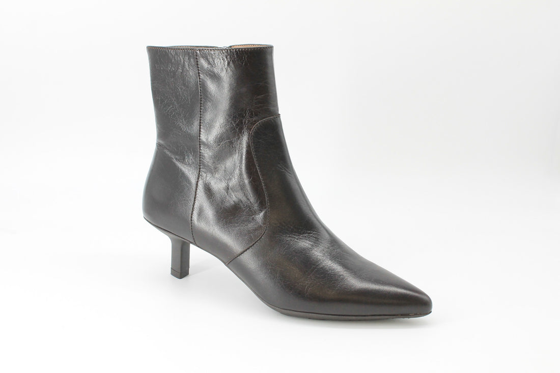 Wonders 7111 Brown