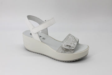 Igi & Co 7665644  Silver