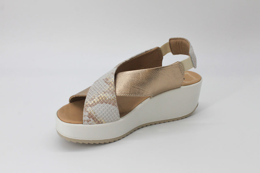 Igi & Co 7665755 Bronze